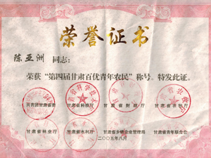 榮譽(yù)證書(shū)